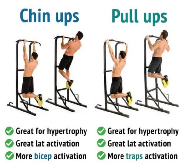pull up vs chin up        <h3 class=