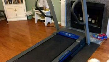 ProForm Trainer 6.0 Treadmill Review