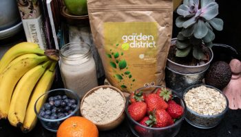 Best Non Dairy Vegan Plant Based Protein Powder Products You Need to Know