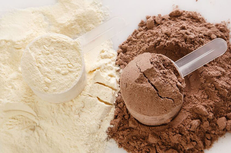 Best Paleo Protein Powders