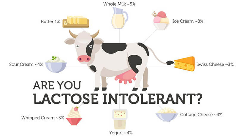 What type of protein powder is best for lactose intolerant?